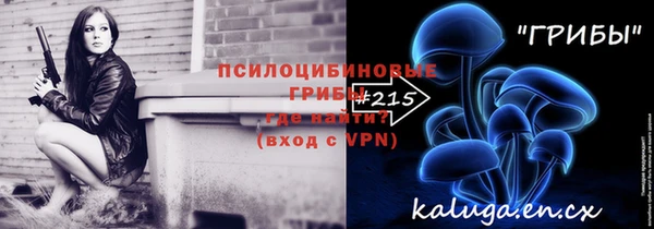 шишки Володарск