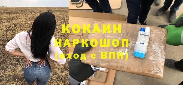 шишки Володарск