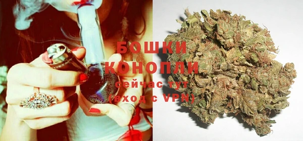 шишки Вяземский